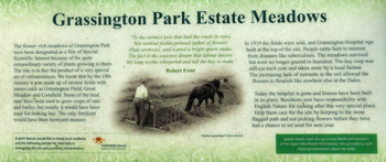 Grassington meadow boardcrop for web
