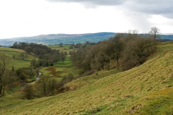 Skeleron mines 2