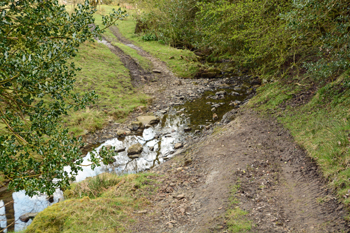 Ford near Newby